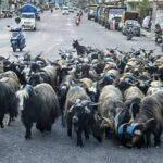 553638248_3008755599328350_1433044123767517415_n