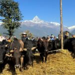 11dc7ae0-c832-42d5-84f2-af7c62c1785d