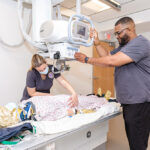 आज विश्व रेडियोग्राफी र रेडियोलोजी दिवस RADIOGRAPHY