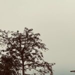 70ced615-1d85-496c-84ab-54311dcb129a