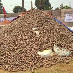 patato-image-e1773546192937-1536x1360