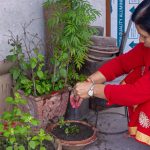 tulsi-puja