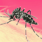 देशभर डेङ्गु सङ्क्रमण तीव्र, गण्डकी उच्च जोखिममा 102156_DengueFeverAlert
