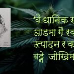 गण्डकीमा गाँजाः सम्भावनाका दायराभन्दा अग्ला चुनौतीका पहाड 149ab06f-e012-4822-9c20-ebccb7f9248d